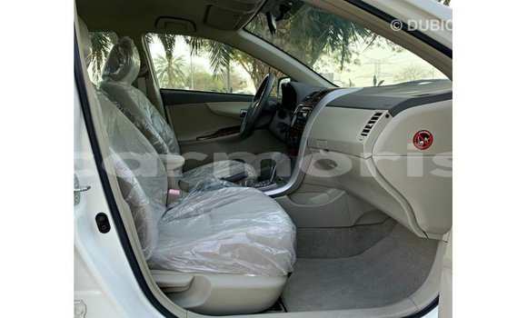 Buy Import Toyota Corolla White Car in Import - Dubai in Agalega Islands Buy Import Toyota Corolla White Car in Import - Dubai in Agalega Islands