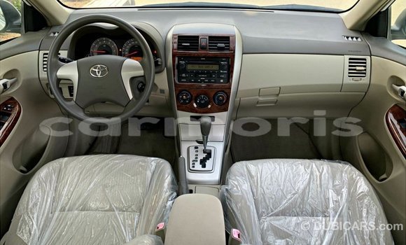 Buy Import Toyota Corolla White Car in Import - Dubai in Agalega Islands Buy Import Toyota Corolla White Car in Import - Dubai in Agalega Islands