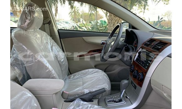 Buy Import Toyota Corolla White Car in Import - Dubai in Agalega Islands Buy Import Toyota Corolla White Car in Import - Dubai in Agalega Islands