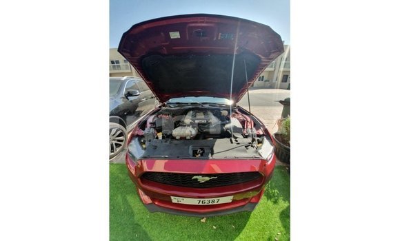 Buy Import Ford Mustang Red Car in Import - Dubai in Agalega Islands Buy Import Ford Mustang Red Car in Import - Dubai in Agalega Islands