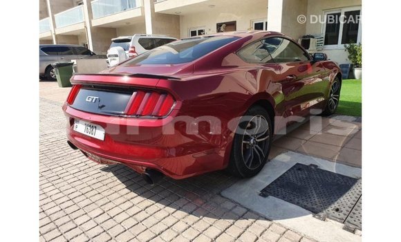 Buy Import Ford Mustang Red Car in Import - Dubai in Agalega Islands Buy Import Ford Mustang Red Car in Import - Dubai in Agalega Islands