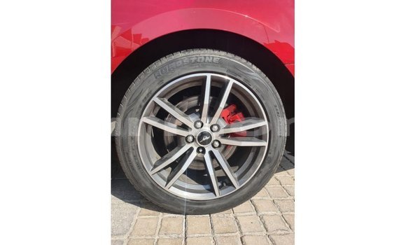 Buy Import Ford Mustang Red Car in Import - Dubai in Agalega Islands Buy Import Ford Mustang Red Car in Import - Dubai in Agalega Islands