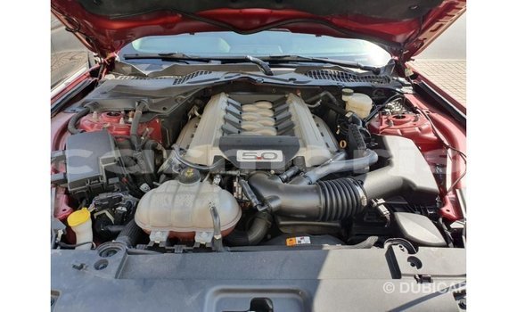 Buy Import Ford Mustang Red Car in Import - Dubai in Agalega Islands Buy Import Ford Mustang Red Car in Import - Dubai in Agalega Islands