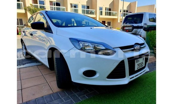 Buy Import Ford Focus White Car in Import - Dubai in Agalega Islands