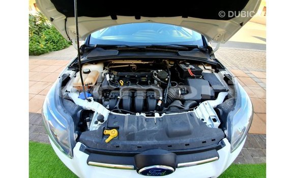 Buy Import Ford Focus White Car in Import - Dubai in Agalega Islands Buy Import Ford Focus White Car in Import - Dubai in Agalega Islands