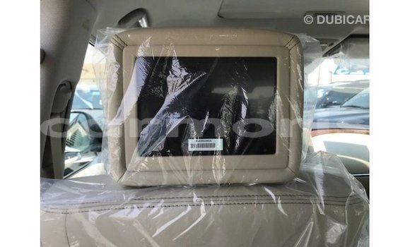 Buy Import Nissan Patrol White Car in Import - Dubai in Agalega Islands Buy Import Nissan Patrol White Car in Import - Dubai in Agalega Islands