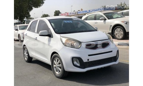 Buy Import Kia Picanto White Car in Import - Dubai in Agalega Islands Buy Import Kia Picanto White Car in Import - Dubai in Agalega Islands