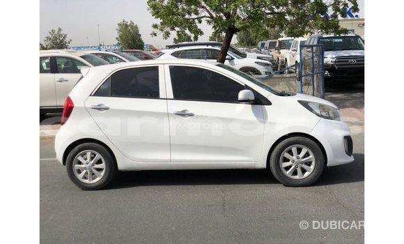 Buy Import Kia Picanto White Car in Import - Dubai in Agalega Islands Buy Import Kia Picanto White Car in Import - Dubai in Agalega Islands