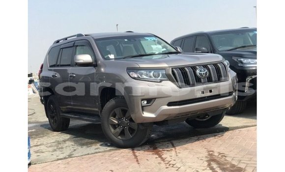 Buy Import Toyota Prado Brown Car in Import - Dubai in Agalega Islands