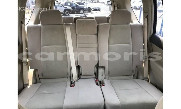 Buy Import Toyota Prado Brown Car in Import - Dubai in Agalega Islands Buy Import Toyota Prado Brown Car in Import - Dubai in Agalega Islands