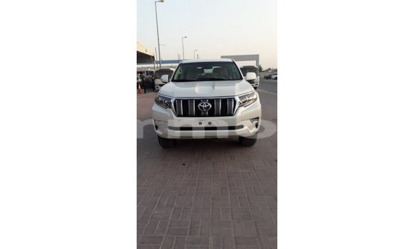 Buy Import Toyota Prado White Car in Import - Dubai in Agalega Islands