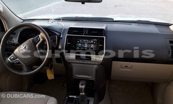 Buy Import Toyota Prado White Car in Import - Dubai in Agalega Islands Buy Import Toyota Prado White Car in Import - Dubai in Agalega Islands