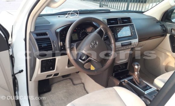 Buy Import Toyota Prado White Car in Import - Dubai in Agalega Islands Buy Import Toyota Prado White Car in Import - Dubai in Agalega Islands