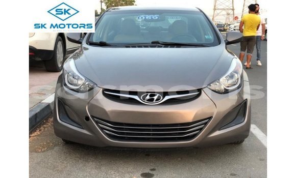 Buy Import Hyundai Elantra Brown Car in Import - Dubai in Agalega Islands