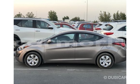 Buy Import Hyundai Elantra Brown Car in Import - Dubai in Agalega Islands Buy Import Hyundai Elantra Brown Car in Import - Dubai in Agalega Islands