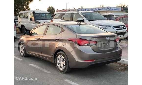 Buy Import Hyundai Elantra Brown Car in Import - Dubai in Agalega Islands Buy Import Hyundai Elantra Brown Car in Import - Dubai in Agalega Islands
