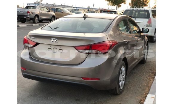 Buy Import Hyundai Elantra Brown Car in Import - Dubai in Agalega Islands Buy Import Hyundai Elantra Brown Car in Import - Dubai in Agalega Islands