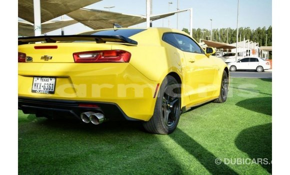 Buy Import Chevrolet Camaro Other Car in Import - Dubai in Agalega Islands Buy Import Chevrolet Camaro Other Car in Import - Dubai in Agalega Islands