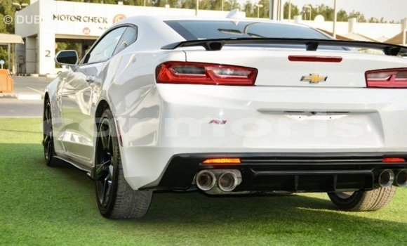 Buy Import Chevrolet Camaro White Car in Import - Dubai in Agalega Islands Buy Import Chevrolet Camaro White Car in Import - Dubai in Agalega Islands