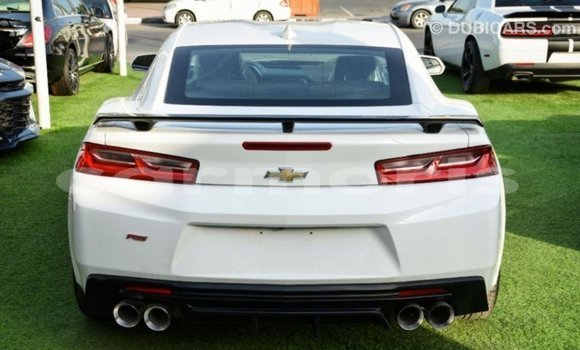 Buy Import Chevrolet Camaro White Car in Import - Dubai in Agalega Islands Buy Import Chevrolet Camaro White Car in Import - Dubai in Agalega Islands