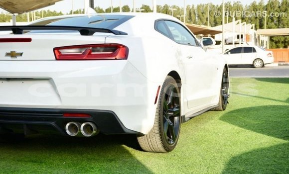 Buy Import Chevrolet Camaro White Car in Import - Dubai in Agalega Islands Buy Import Chevrolet Camaro White Car in Import - Dubai in Agalega Islands
