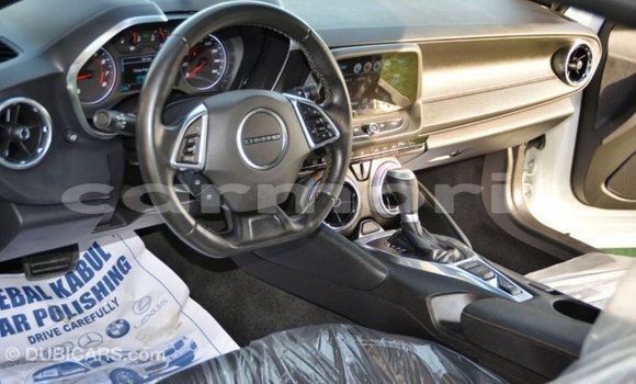 Buy Import Chevrolet Camaro White Car in Import - Dubai in Agalega Islands Buy Import Chevrolet Camaro White Car in Import - Dubai in Agalega Islands