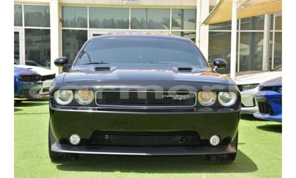 Buy Import Dodge Challenger Black Car in Import - Dubai in Agalega Islands