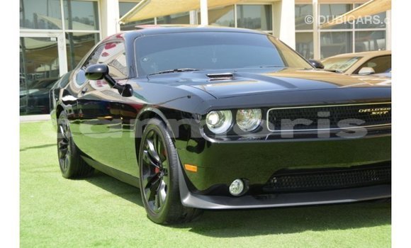 Buy Import Dodge Challenger Black Car in Import - Dubai in Agalega Islands Buy Import Dodge Challenger Black Car in Import - Dubai in Agalega Islands