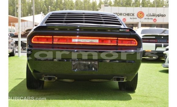 Buy Import Dodge Challenger Black Car in Import - Dubai in Agalega Islands Buy Import Dodge Challenger Black Car in Import - Dubai in Agalega Islands