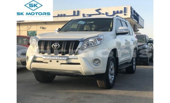 Buy Import Toyota Prado White Car in Import - Dubai in Agalega Islands