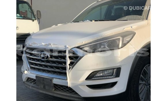 Buy Import Hyundai Tucson White Car in Import - Dubai in Agalega Islands Buy Import Hyundai Tucson White Car in Import - Dubai in Agalega Islands