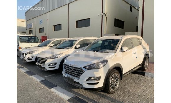 Buy Import Hyundai Tucson White Car in Import - Dubai in Agalega Islands Buy Import Hyundai Tucson White Car in Import - Dubai in Agalega Islands