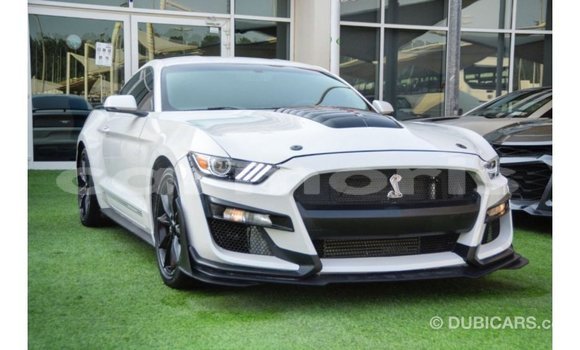Buy Import Ford Mustang White Car in Import - Dubai in Agalega Islands Buy Import Ford Mustang White Car in Import - Dubai in Agalega Islands