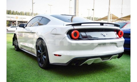 Buy Import Ford Mustang White Car in Import - Dubai in Agalega Islands Buy Import Ford Mustang White Car in Import - Dubai in Agalega Islands