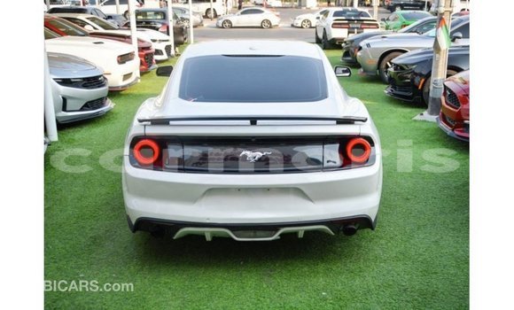 Buy Import Ford Mustang White Car in Import - Dubai in Agalega Islands Buy Import Ford Mustang White Car in Import - Dubai in Agalega Islands