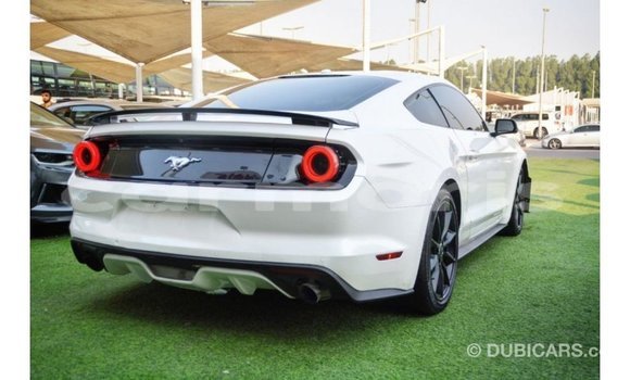 Buy Import Ford Mustang White Car in Import - Dubai in Agalega Islands Buy Import Ford Mustang White Car in Import - Dubai in Agalega Islands