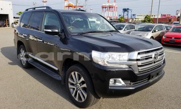 Buy Used Toyota Land Cruiser Other Car in Albion in Black River District Buy Used Toyota Land Cruiser Other Car in Albion in Black River District
