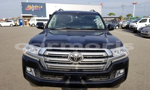 Buy Used Toyota Land Cruiser Other Car in Albion in Black River District Buy Used Toyota Land Cruiser Other Car in Albion in Black River District
