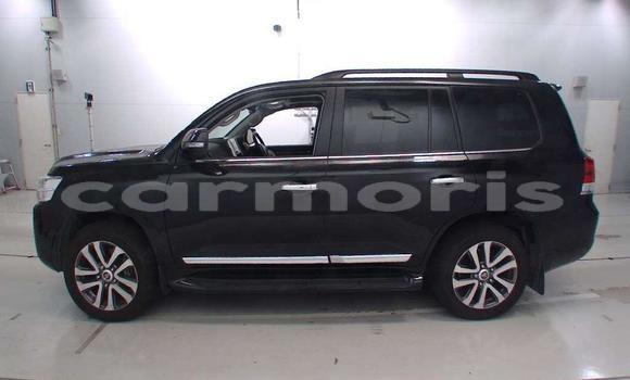 Buy Used Toyota Land Cruiser Other Car in Albion in Black River District Buy Used Toyota Land Cruiser Other Car in Albion in Black River District