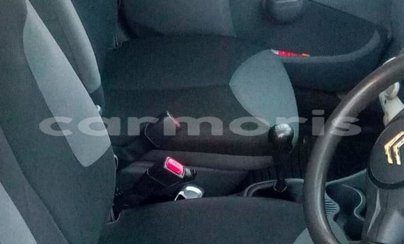 Buy Used Citroen C1 Silver Car in Albion in Black River District Buy Used Citroen C1 Silver Car in Albion in Black River District