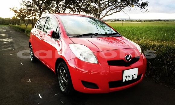 Buy Used Toyota Vitz Red Car in Albion in Black River District Buy Used Toyota Vitz Red Car in Albion in Black River District