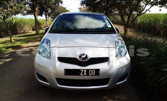 Buy Used Toyota Vitz Silver Car in Albion in Black River District Buy Used Toyota Vitz Silver Car in Albion in Black River District