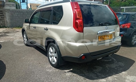 Buy Used Nissan X–Trail Beige Car in Albion in Black River District Buy Used Nissan X–Trail Beige Car in Albion in Black River District