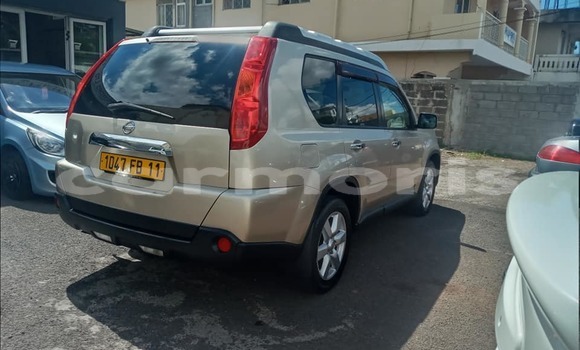 Buy Used Nissan X–Trail Beige Car in Albion in Black River District Buy Used Nissan X–Trail Beige Car in Albion in Black River District