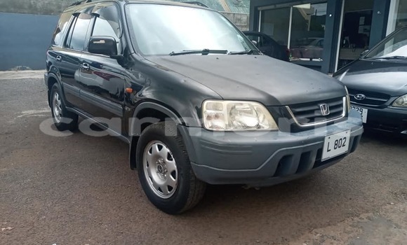 Buy Used Honda CR–V Black Car in Albion in Black River District Buy Used Honda CR–V Black Car in Albion in Black River District