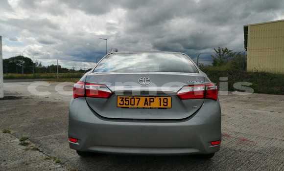 Buy Used Toyota Corolla Silver Car in Vacoas–Phoenix in Plaines Wilhems District Buy Used Toyota Corolla Silver Car in Vacoas–Phoenix in Plaines Wilhems District