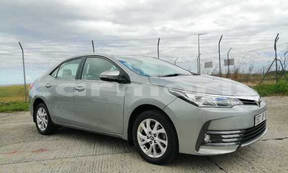 Buy Used Toyota Corolla Silver Car in Vacoas–Phoenix in Plaines Wilhems District Buy Used Toyota Corolla Silver Car in Vacoas–Phoenix in Plaines Wilhems District