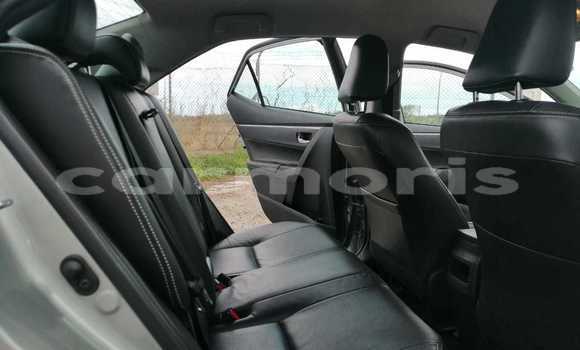 Buy Used Toyota Corolla Silver Car in Vacoas–Phoenix in Plaines Wilhems District Buy Used Toyota Corolla Silver Car in Vacoas–Phoenix in Plaines Wilhems District