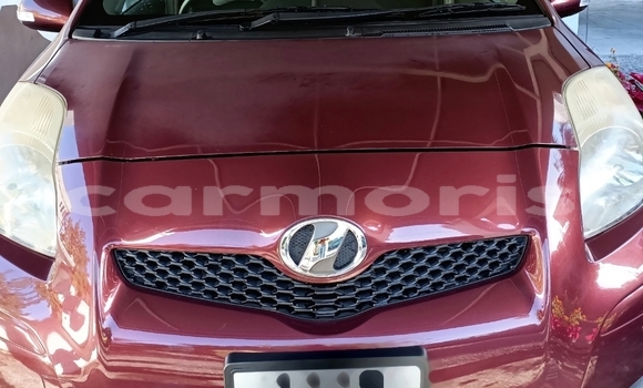 Buy Used Toyota Vitz Other Car in Quatre Bornes in Plaines Wilhems District Buy Used Toyota Vitz Other Car in Quatre Bornes in Plaines Wilhems District