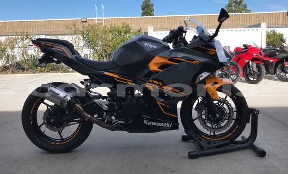 Buy Used Kawasaki Ninja Black Bike in Port Louis in Port Louis District Buy Used Kawasaki Ninja Black Bike in Port Louis in Port Louis District